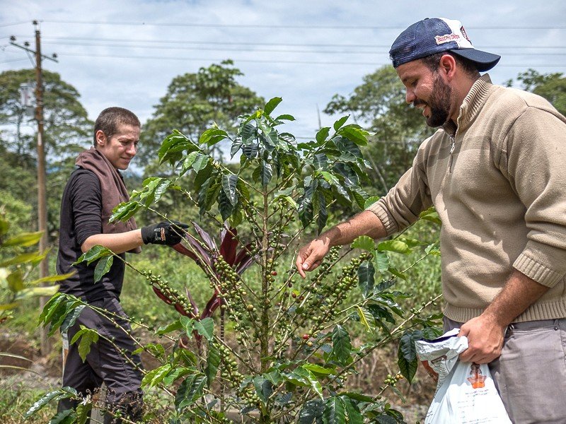 Jardín botánico y cultivos